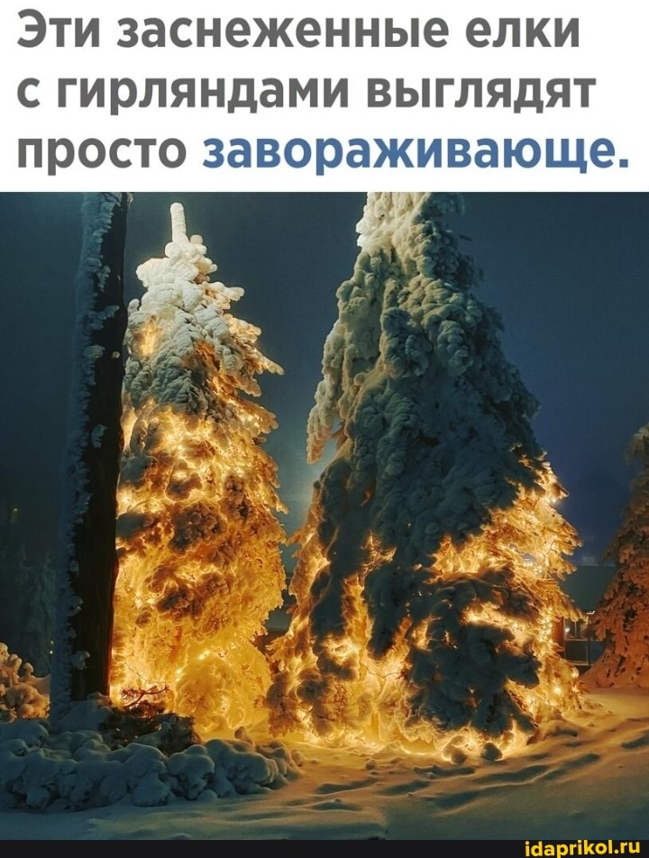 Эти заснеженные елки
гирляндами выглядят просто завораживающе.