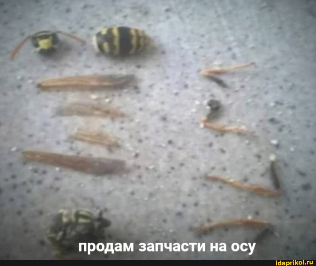 продам запчасти на осу