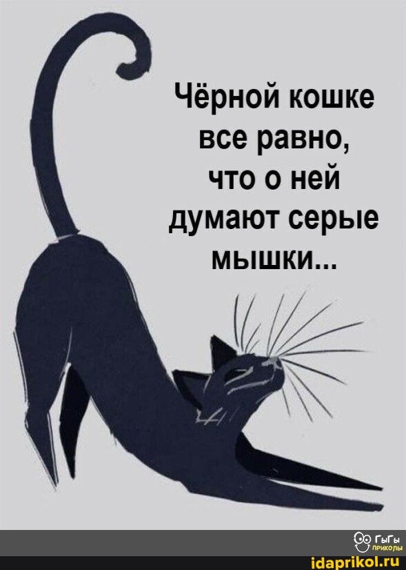 Чёрной кошке все равно, что о ней
думают серые
МЫШКИ...