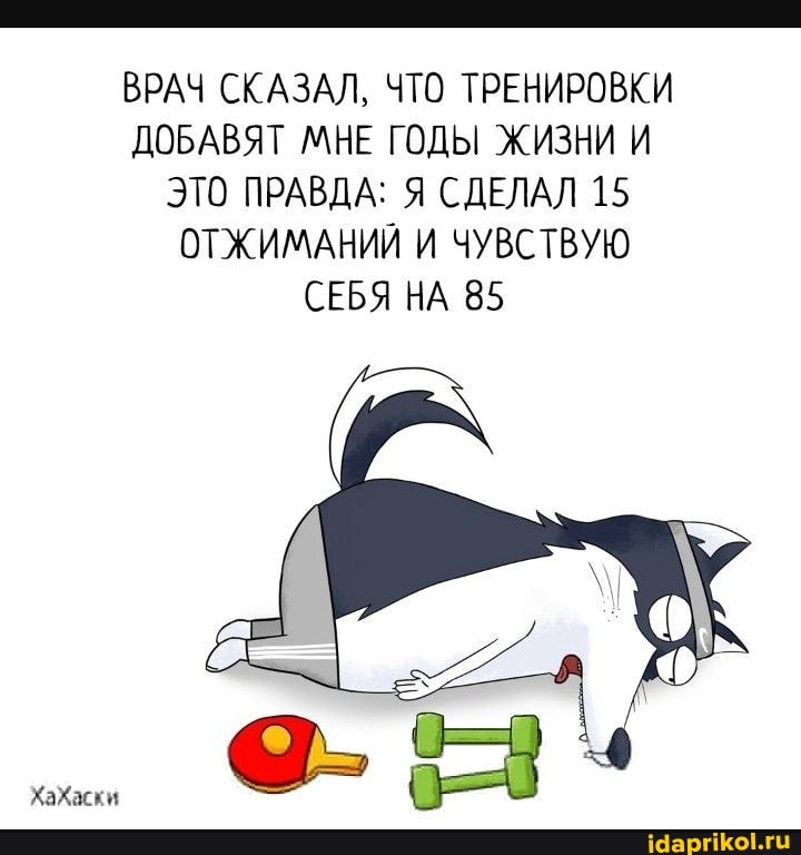 ВРАЧ СКАЗАЛ, ЧТО ТРЕНИРОВКИ ДОБАВЯТ МНЕ ГОДЫ ЖИЗНИ И ЭТО ПРАВДА: Я СДЕЛАЛ 15
ОТЖИМАНИЙ И ЧУВСТВУЮ СЕБЯ НА 85
ХаХаски