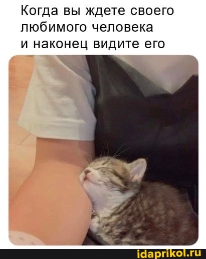 Когда вы ждете своего любимого человека и наконец видите его