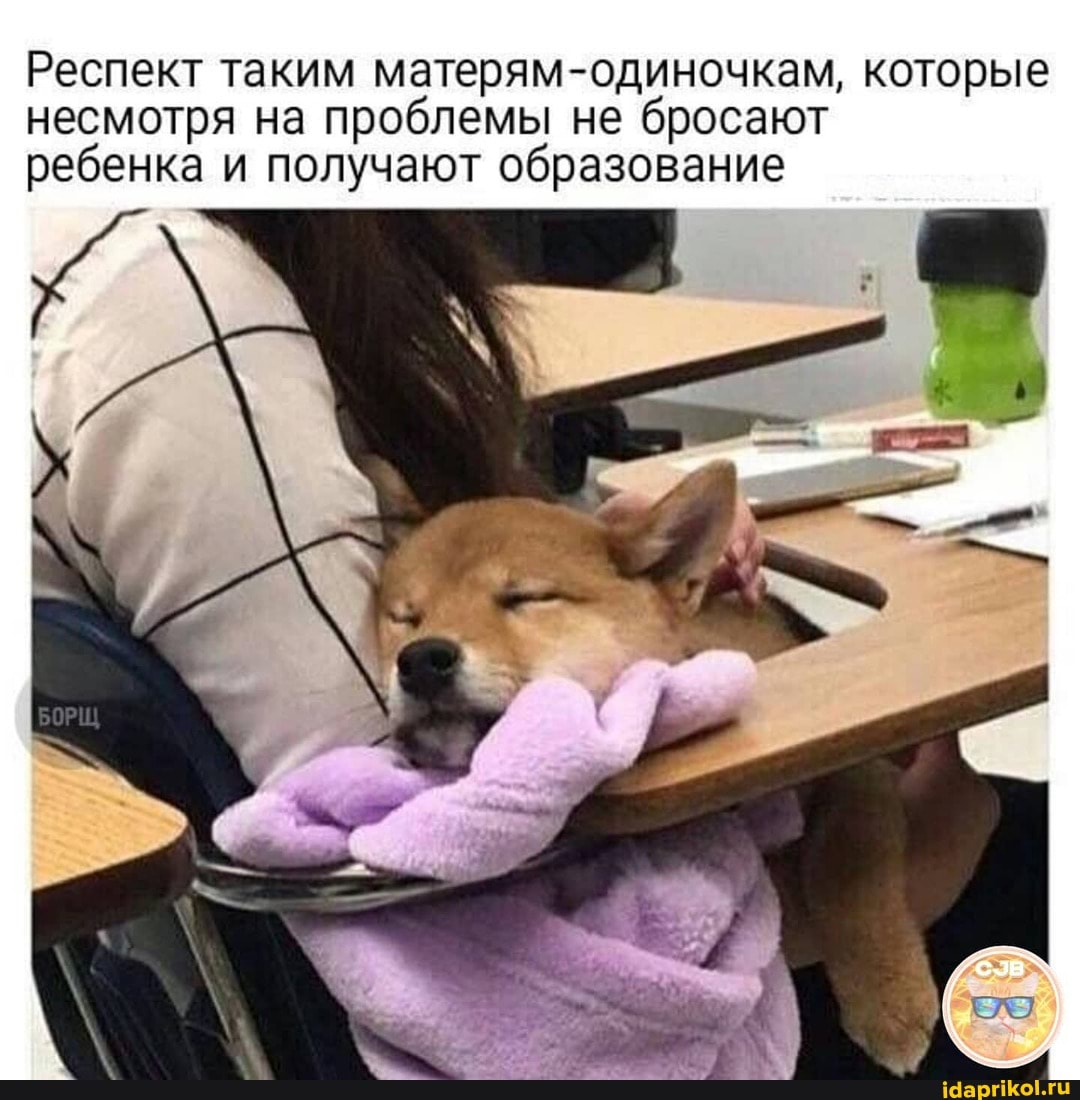 Респект таким матерям-одиночкам, которые несмотря на проблемы не бросают ребенка и получают образование