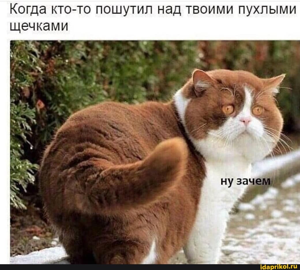 Когда Кто-то пошутил над твоими пухлыми
щечками
Ну зачем