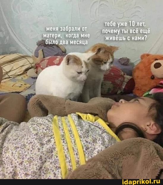 тебе уже 10 лет, почему ты всё ещё живёшь с нами?
меня забрали от матери, когда мне было два месяца