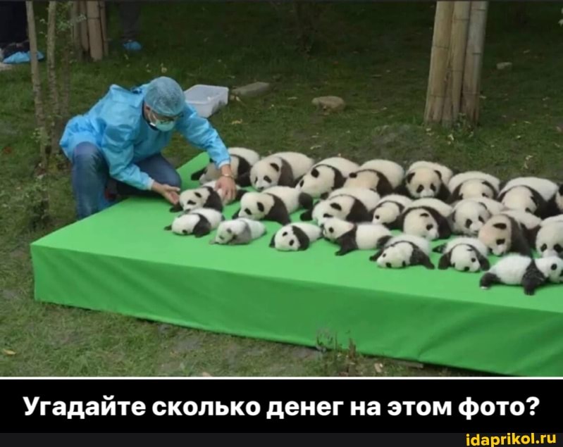 Угадайте сколько денег на этом фото? - Угадайте сколько денег на этом фото?