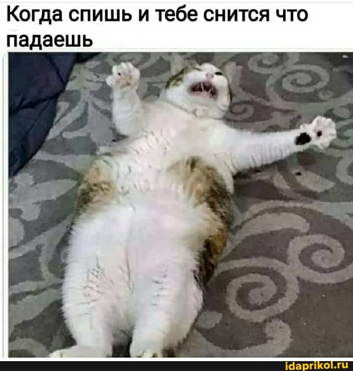 Когда спишь и тебе снится что падаешь