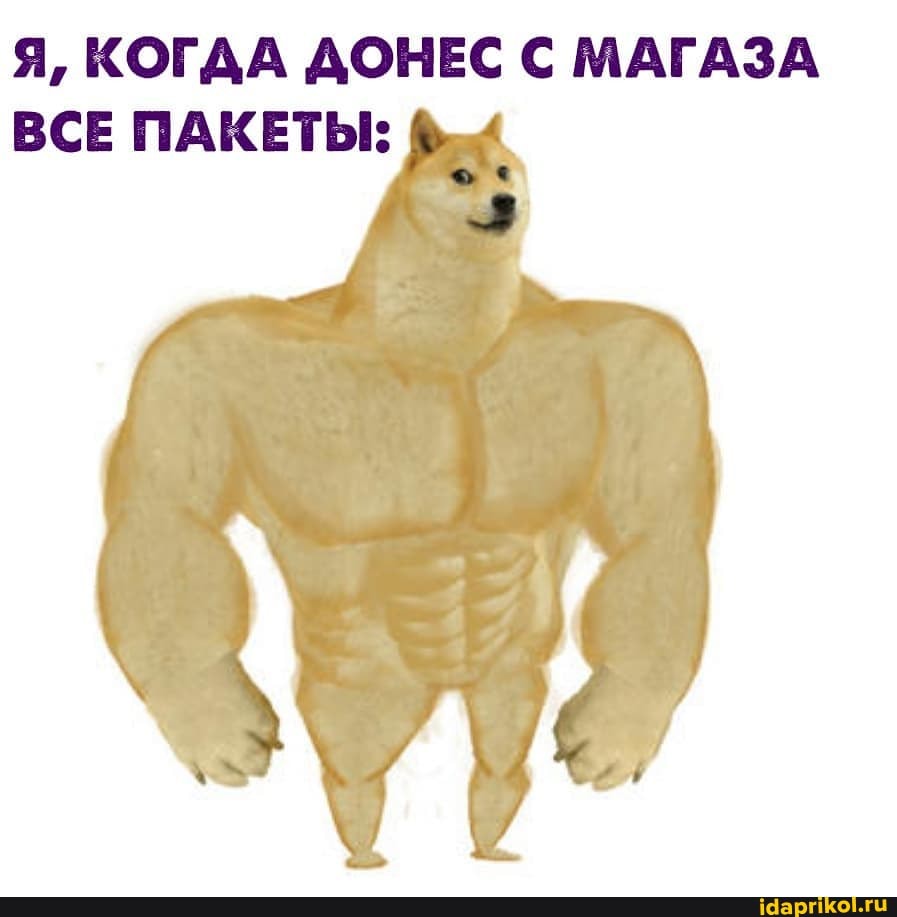 Я, КОГАА ДОНЕС С МАГАЗА ВСЕ ПАКЕТЫ: