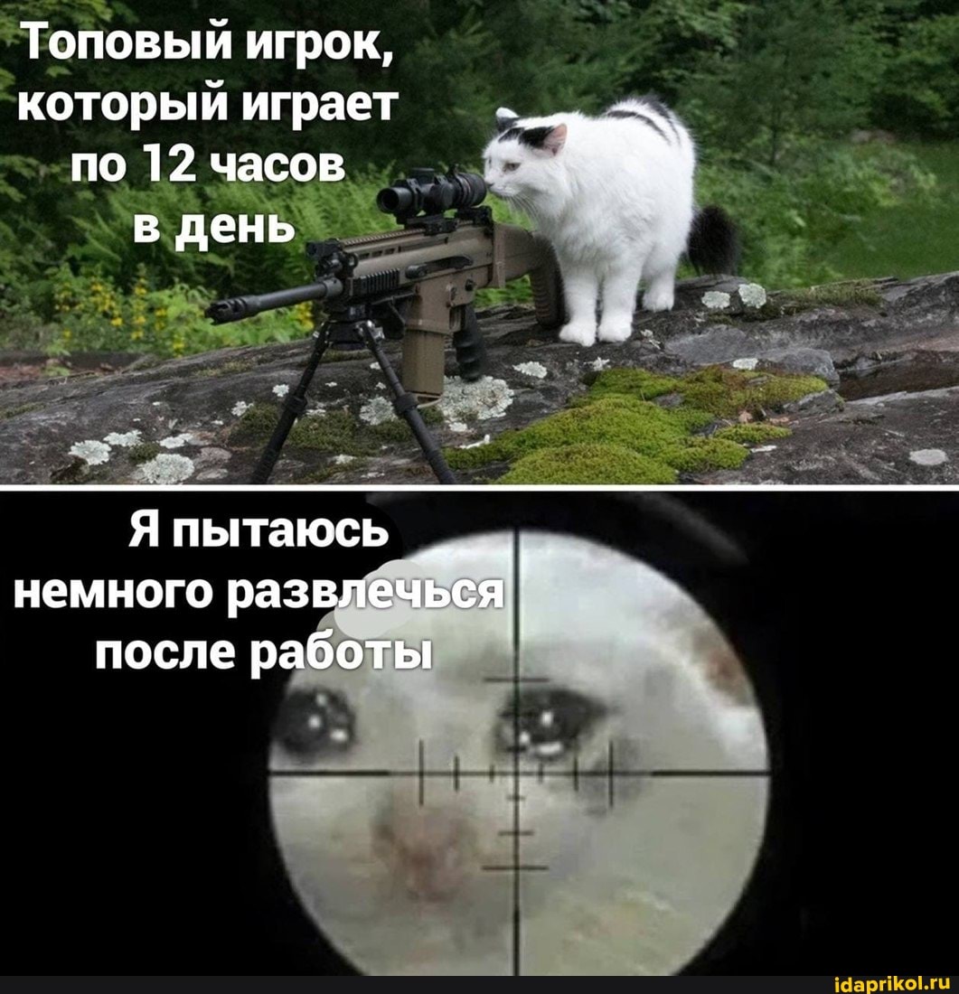 Топовый игрок, который играет
по 12 часов
в день
Я пытаюсь немного развлечься после работы