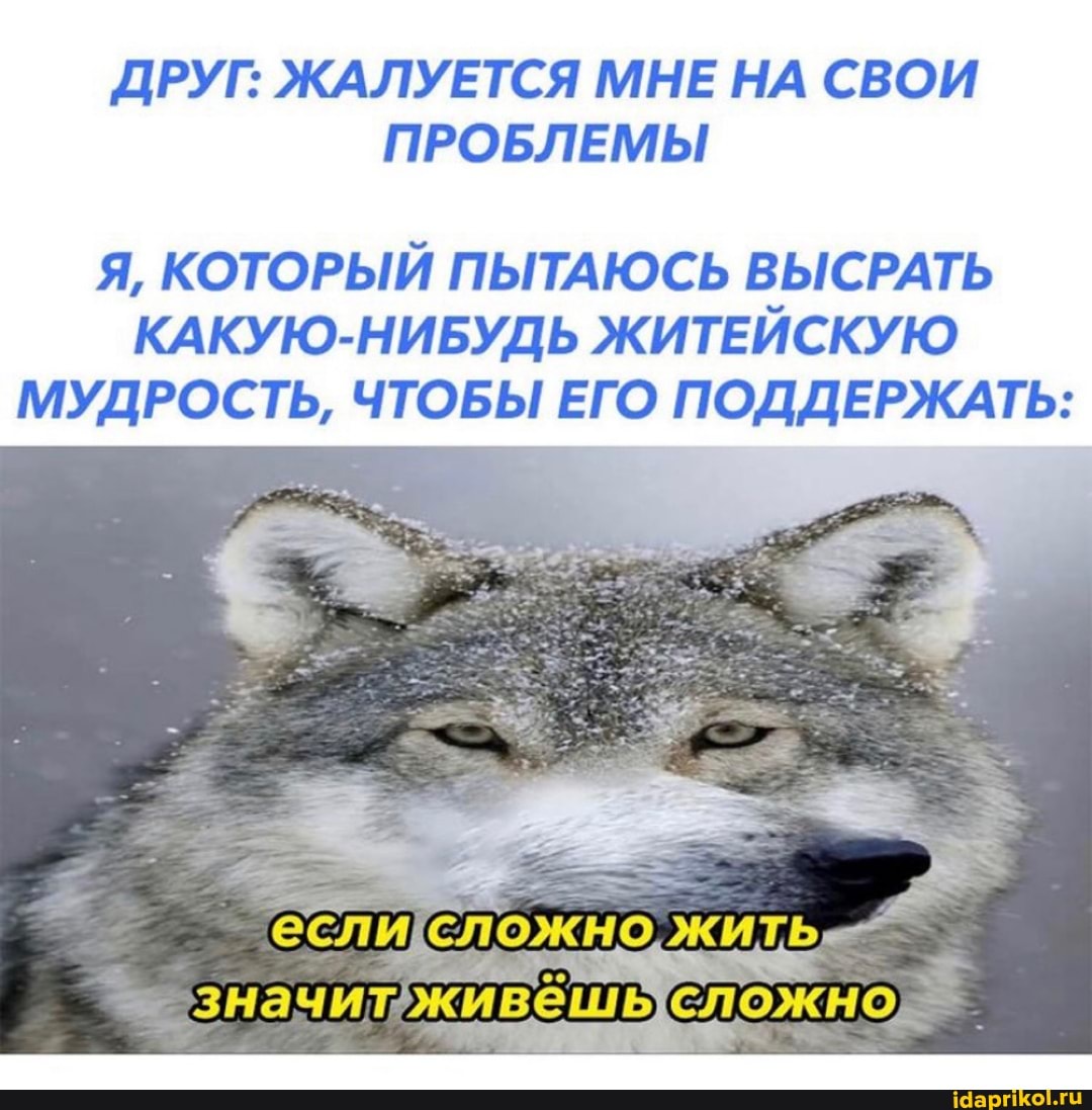 ДРУГ: ЖАЛУЕТСЯ МНЕ НА СВОИ ПРОБЛЕМЫ
Я, КОТОРЫЙ ПЫТАЮСЬ ВЫСРАТЬ КАКУЮ-НИБУДЬ ЖИТЕИСКУЮ МУДРОСТЬ, ЧТОБЫ ЕГО ПОДДЕРЖАТЬ:
если, [сложно значит: КИВЕШЫС сложно)