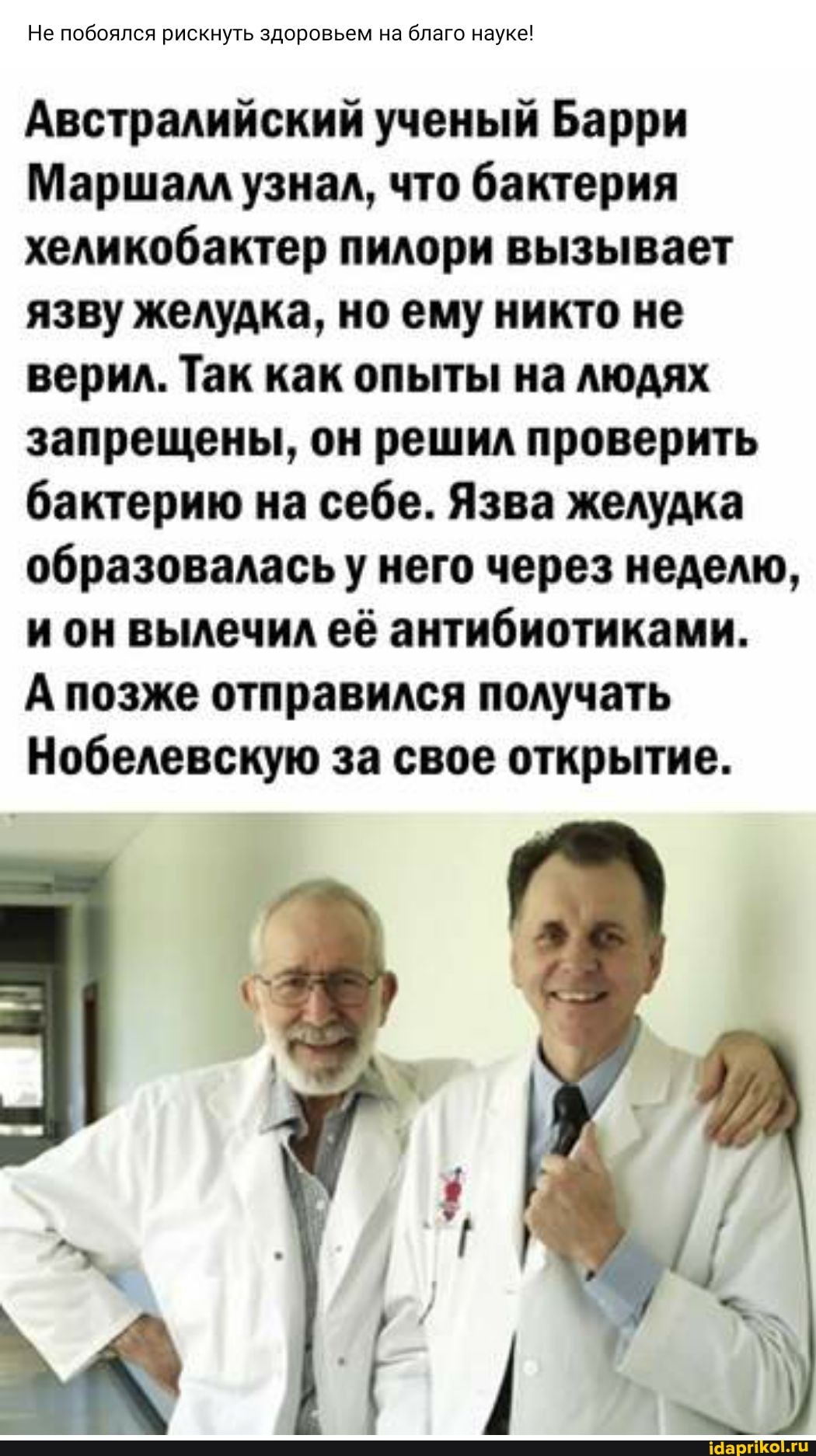 Не побоялся рискнуть здоровьем на благо науке!
Австралийский ученый Барри
Маршалл узнал, что бактерия хеликобактер пилори вызывает язву желудка, но ему никто не верил. Так как опыты на людях запрещены, он решил проверить бактерию на себе. Язва желудка образоваласьу него через неделю, ион вылечил её антибиотиками.
А позже отправился получать
Нобелевскую за свое открытие.