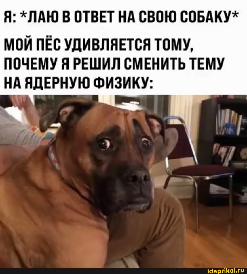 Я: *ЛАЮ В ОТВЕТ НА СВОЮ СОБАКУ*
МОЙ ПЕС УДИВЛЯЕТСЯ ТОМУ,
ПОЧЕМУ Я РЕШИЛ СМЕНИТЬ ТЕМУ НА ЯДЕРНУЮ ФИЗИКУ: