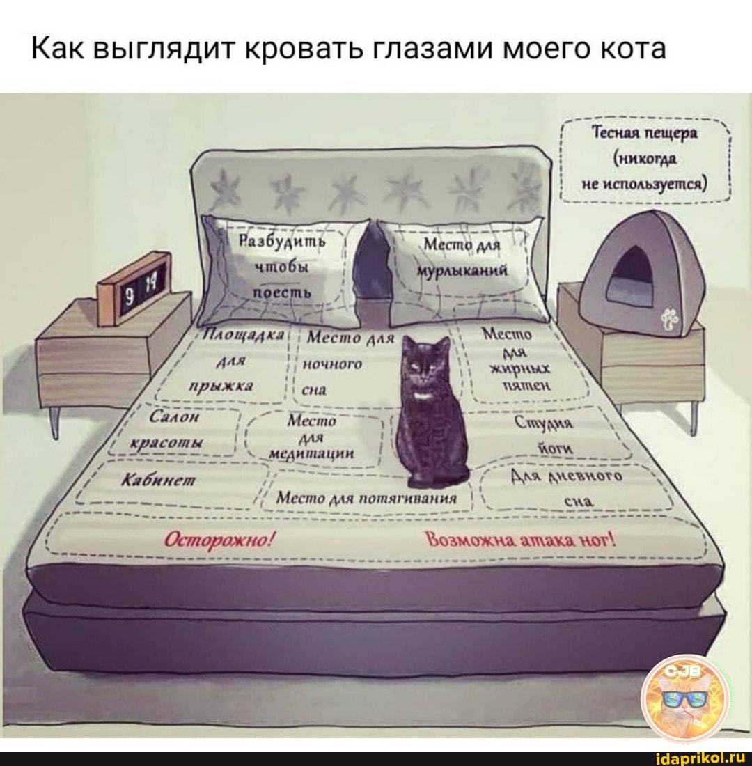 Как выглядит кровать глазами моего кота
УПлощадкаI ля ночного прыжка II сна
Место для потягивания