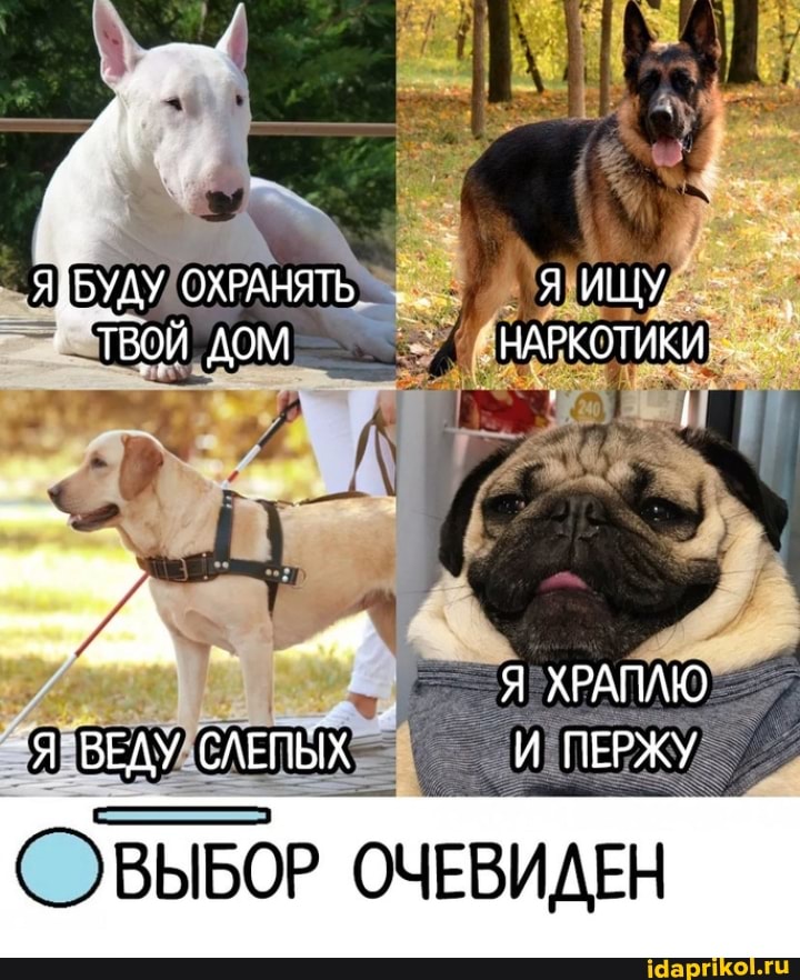 ОХРАНЯТЬ Я ИЩУ ТВОЙ ДОМ НАРКОТИКИ Я ХРАПАЮ
-Я ВЕДУ СЛЕПЫХ И ПЕРЖУ
(ОВЫБОР ОЧЕВИДЕН