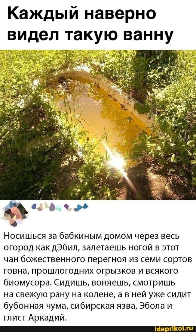 Каждый наверно видел такую ванну
Носишься за бабкиным домом через весь огород как дЭбил, залетаешь ногой в этот чан божественного перегноя из семи сортов говна, прошлогодних огрызков и всякого биомусора. Сидишь, воняешь, смотришь
на свежую рану на колене, а в ней уже сидит бубонная чума, сибирская язва, Эбола и глист Аркадий.