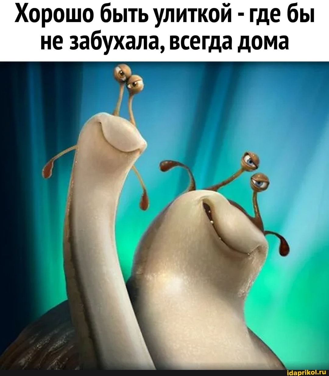 Хорошо быть улиткой - где бы не забухала, всегда дома