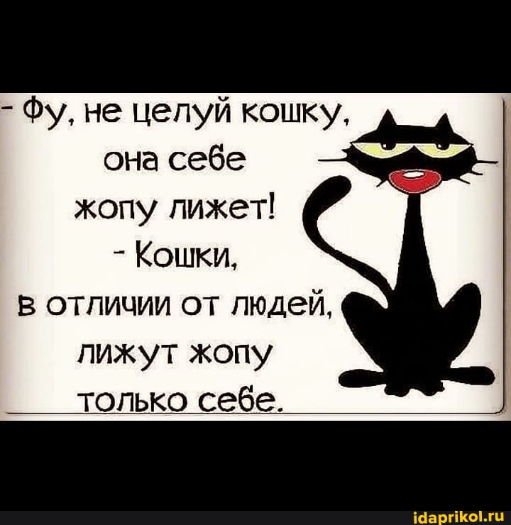- Фу, не целуй кошку, она себе жопу лижет!
- Кошки, в отличии от людей, лижут жопу только себе.