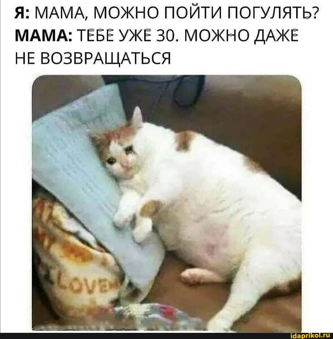 Я: МАМА, МОЖНО ПОЙТИ ПОГУЛЯТЬ?
МАМА: ТЕБЕ УЖЕ 30. МОЖНО ДАЖЕ НЕ ВОЗВРАЩАТЬСЯ