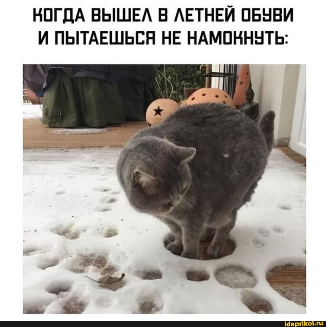 КОГДА ВЫШЕЛ В ЛЕТНЕЙ ОБУВИ И ПЫТАЕШЬСЯ НЕ НАМОННУТЬ:
