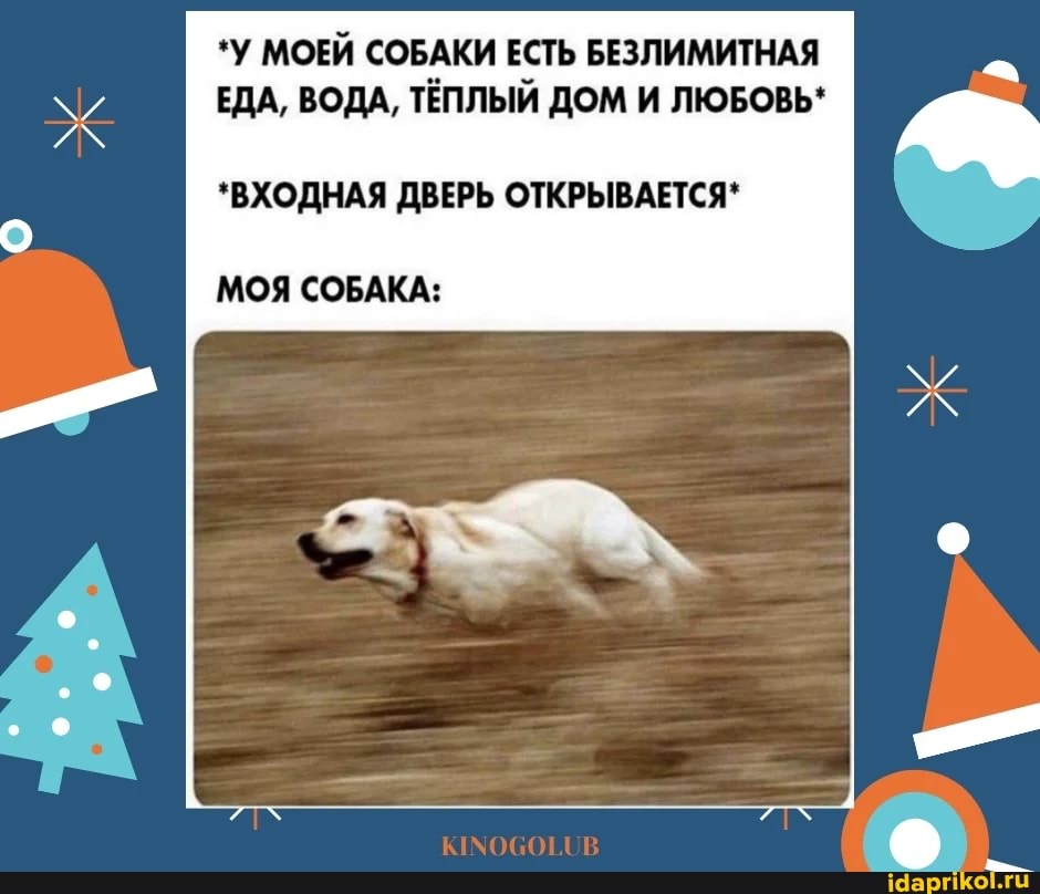 *У МОЕЙ СОБАКИ ЕСТЬ БЕЗЛИМИТНАЯ ЕДА, ВОДА, ТЁПЛЫЙ ДОМ И ЛЮБОВЬ*
*ВХОДНАЯ ДВЕРЬ ОТКРЫВАЕТСЯ*
МОЯ СОБАКА: