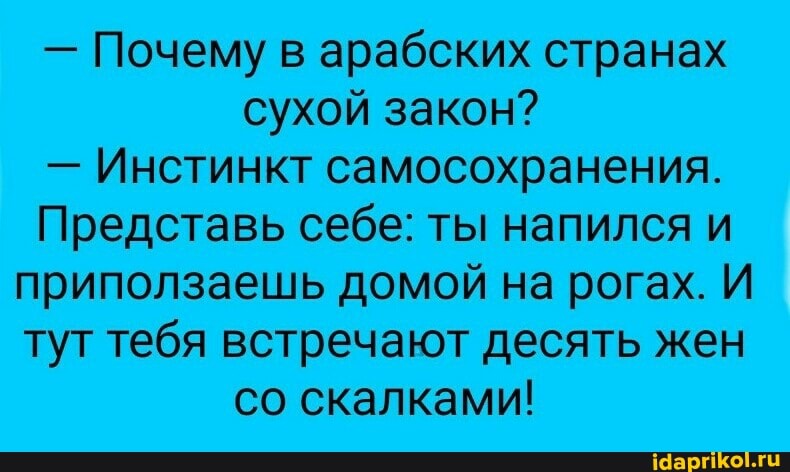 - Почему в арабских странах сухой закон?
- Инстинкт самосохранения.
Представь себе: ты напился и приползаешь домой на рогах. И тут тебя встречают десять жен со скалками!