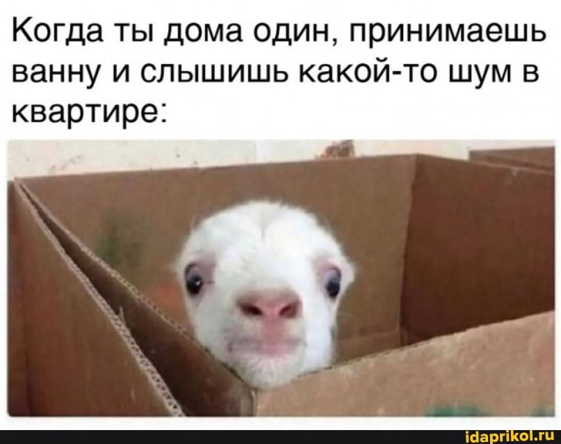 Когда ты дома один, принимаешь ванну и слышишь какой-то шум в квартире: