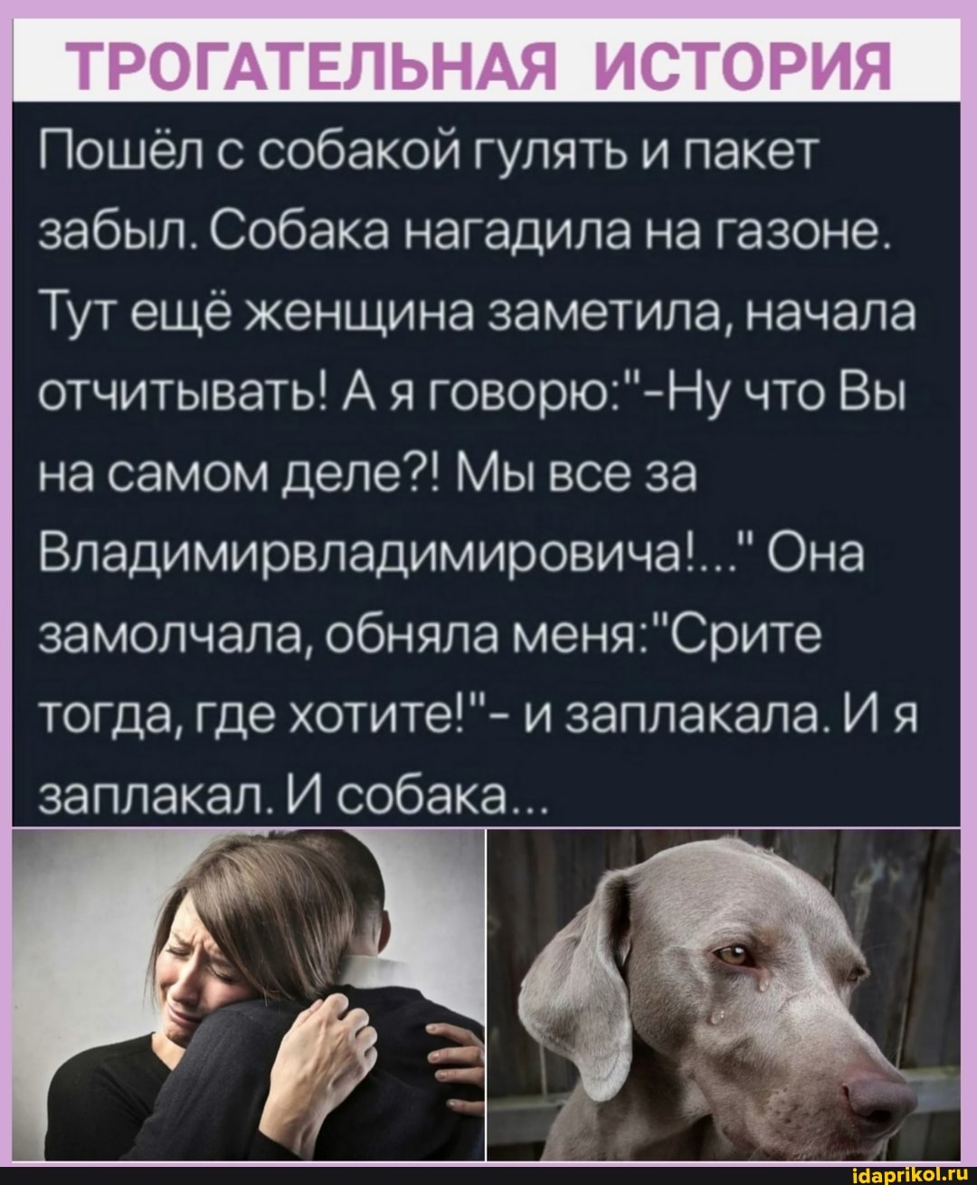 ИСТОРИЯ
Пошел с собакой гулять и пакет забыл. Собака нагадила на газоне.
Тутеще женщина заметила, начала отчитывать! А я что Вы на самом деле?! Мы все за
Владимирвладимировича'..." Она
замолчала, обняла тогда, где хотите!"- и заплакала. И я заплакал. И собака...