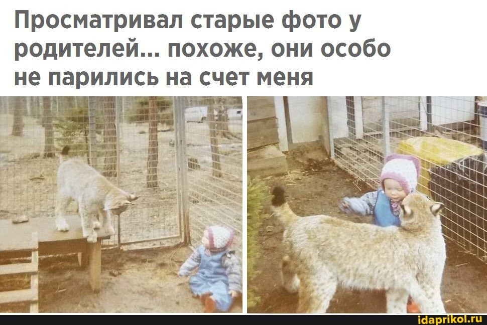 Просматривал старые фото у родителей... похоже, они особо не парились на счет меня