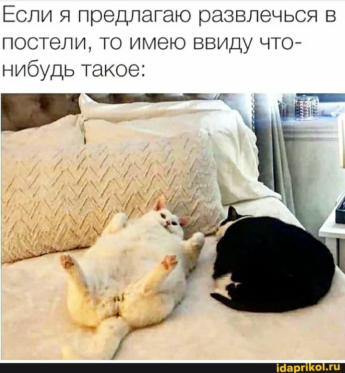 Если я предлагаю развлечься в постели, то имею ввиду что- нибудь такое: