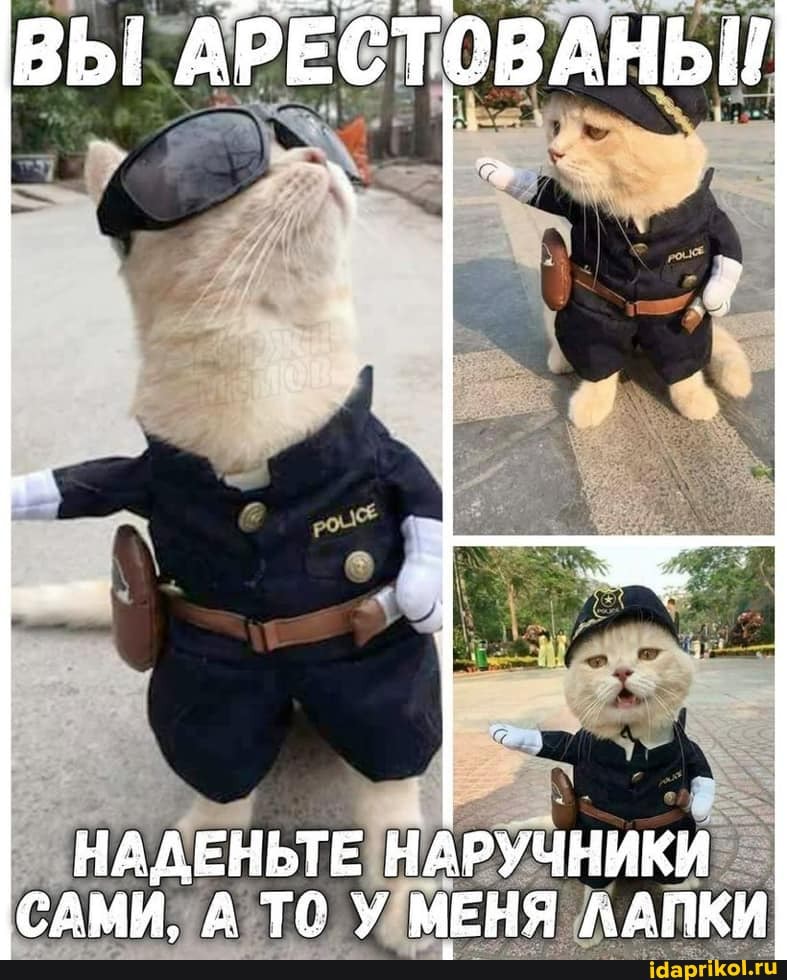 НАДЕНЬТЕ НАРУЧНИКИ САМИ А ТО У МЕНЯ ЛАЛКИ
