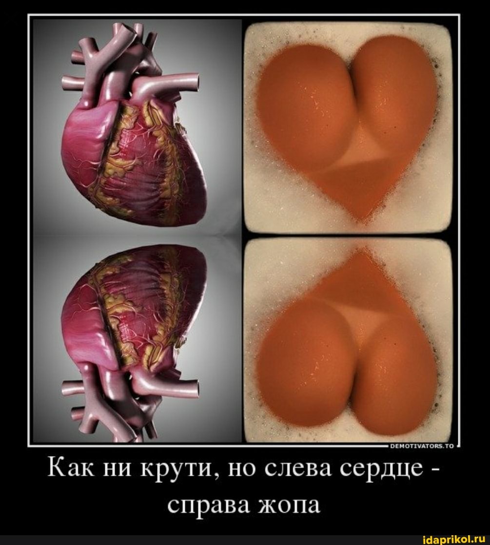 Как ни крути, но слева сердце - справа жопа