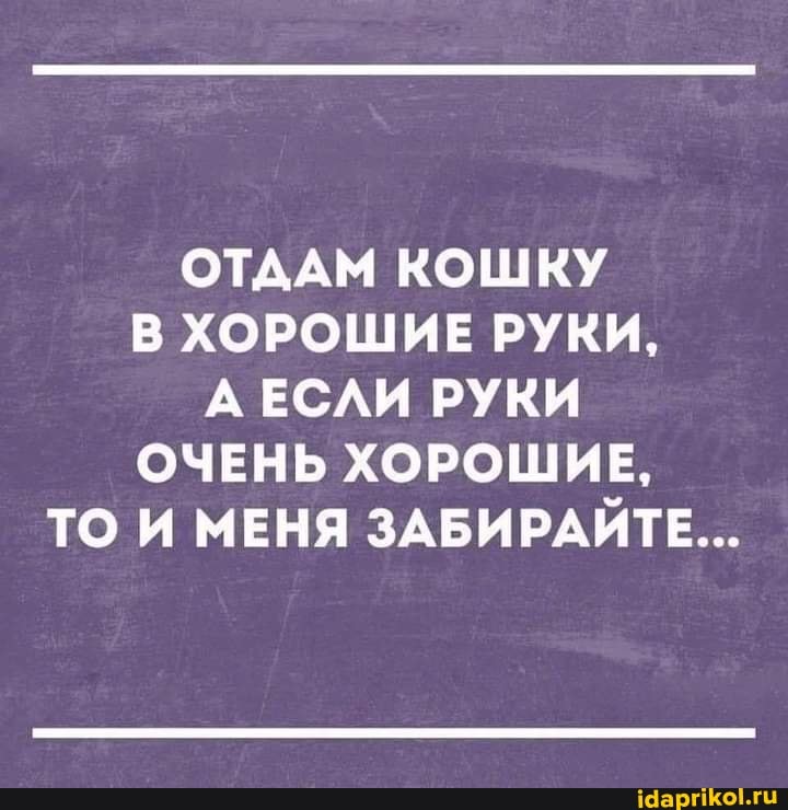 ОТДАМ КОШКУ В ХОРОШИЕ РУКИ,
ЕСЛИ РУКИ ОЧЕНЬ ХОРОШИЕ,
ТО И МЕНЯ ЗАБИРАЙТЕ...