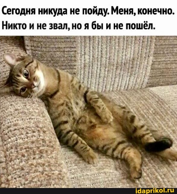 Сегодня никуда не пойду. Меня, конечно.
Никто и не звал, но я бы и не пошёл.