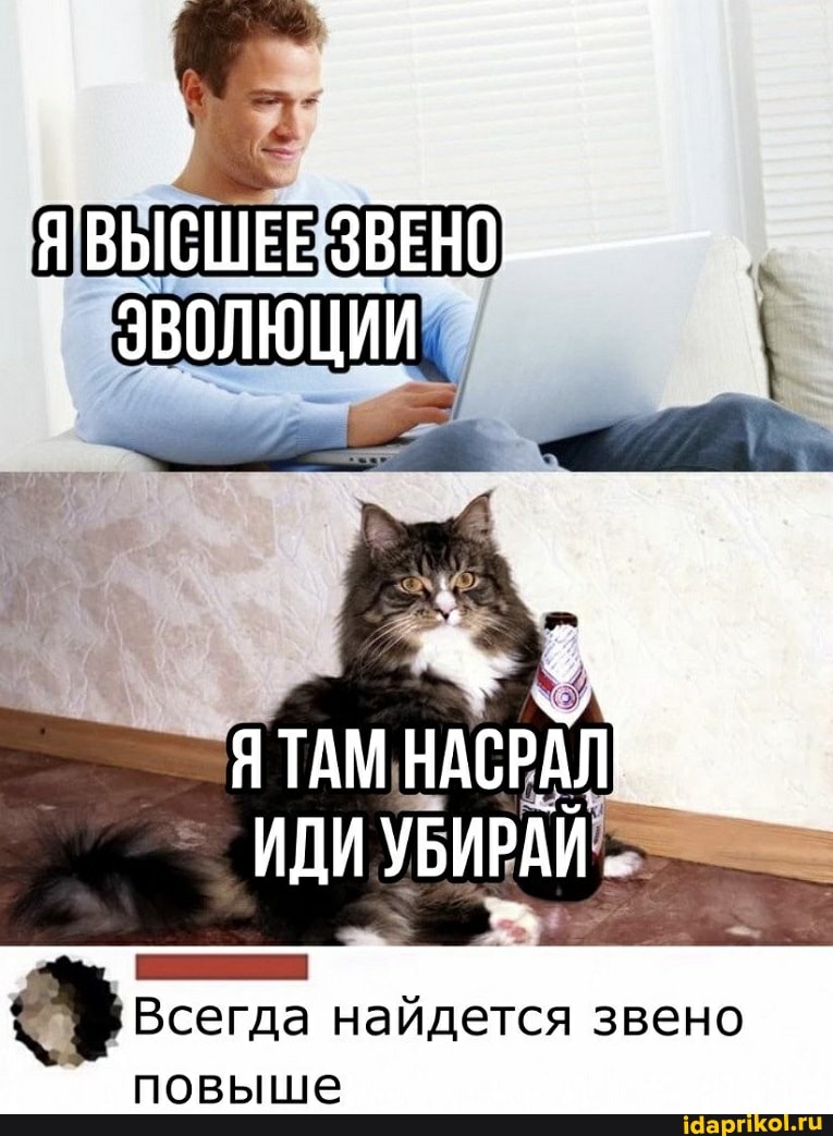 CB scerae найдется звено
повыше
