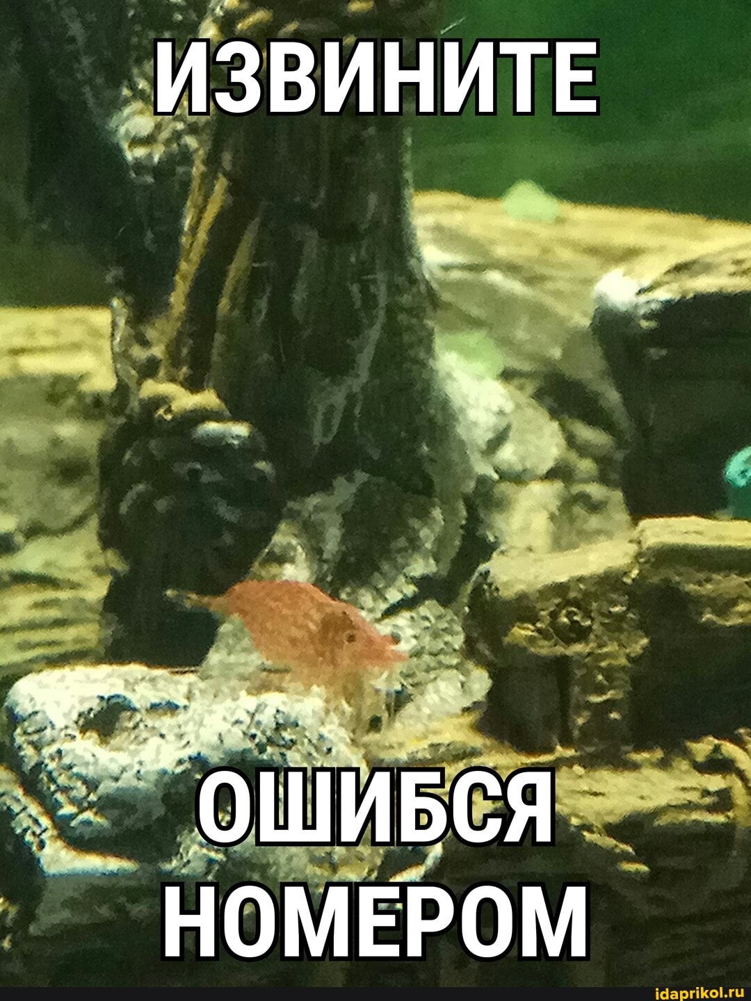 ИЗВИНИТЕ
ОШИБСЯ НОМЕРОМ