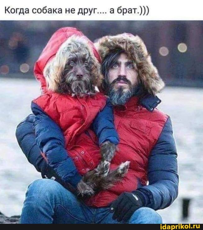 Когда собака не друг.... а брат.)))