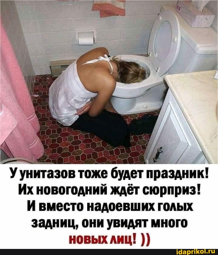 У унитазов тоже будет праздник!
Их новогодний ждёт сюрприз!
И вместо надоевших голых задниц, они увидят много новых лиц!