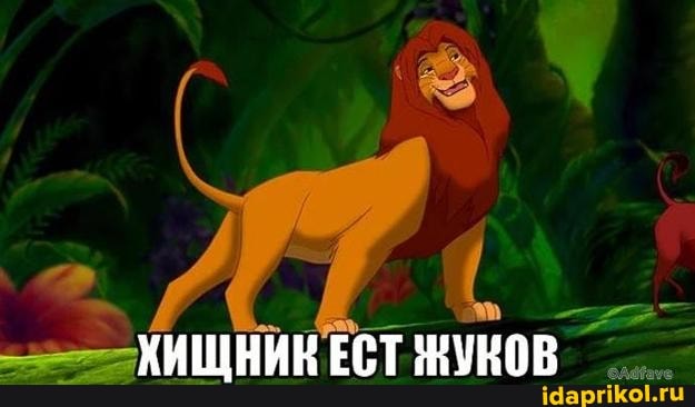 =-ХИЩНИК ЕСТ ЖУНОВ