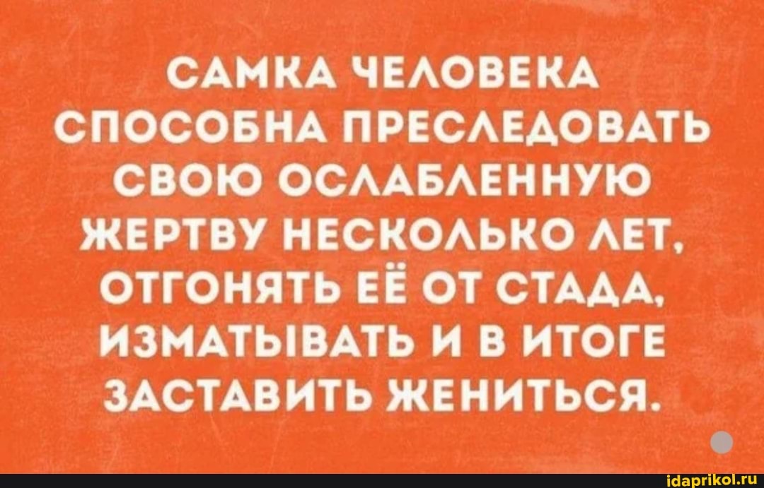 САМКА ЧЕЛОВЕКА СПОСОБНА ПРЕСЛЕДОВАТЬ СВОЮ ОСЛАБЛЕННУЮ ЖЕРТВУ НЕСКОЛЬКО ЛЕТ,
ОТГОНЯТЬ ЕЁ ОТ СТАДА,
ИЗМАТЫВАТЬ И В ИТОГЕ ЗАСТАВИТЬ ЖЕНИТЬСЯ.