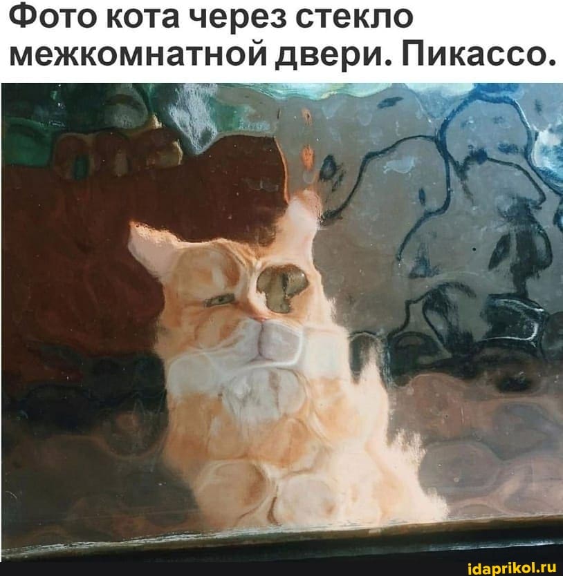 Фото кота через стекло межкомнатной двери. Пикассо.