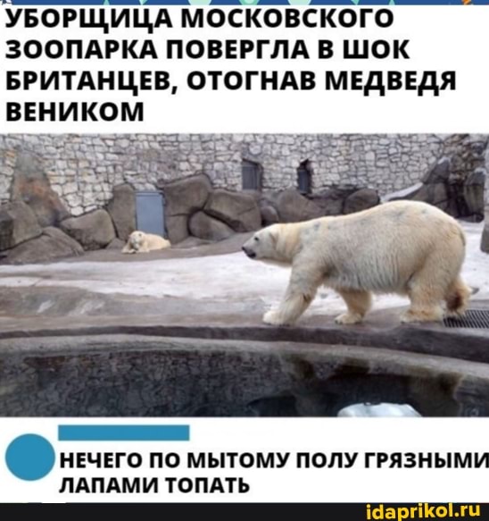 УБОРЩИЦА МОСКОВСКОГО ЗООПАРКА ПОВЕРГЛА В ШОК БРИТАНЦЕВ, ОТОГНАВ МЕДВЕДЯ ВЕНИКОМ
НЕЧЕГО ПО МЫТОМУ ПОЛУ ГРЯЗНЫМ ЛАПАМИ ТОПАТЬ