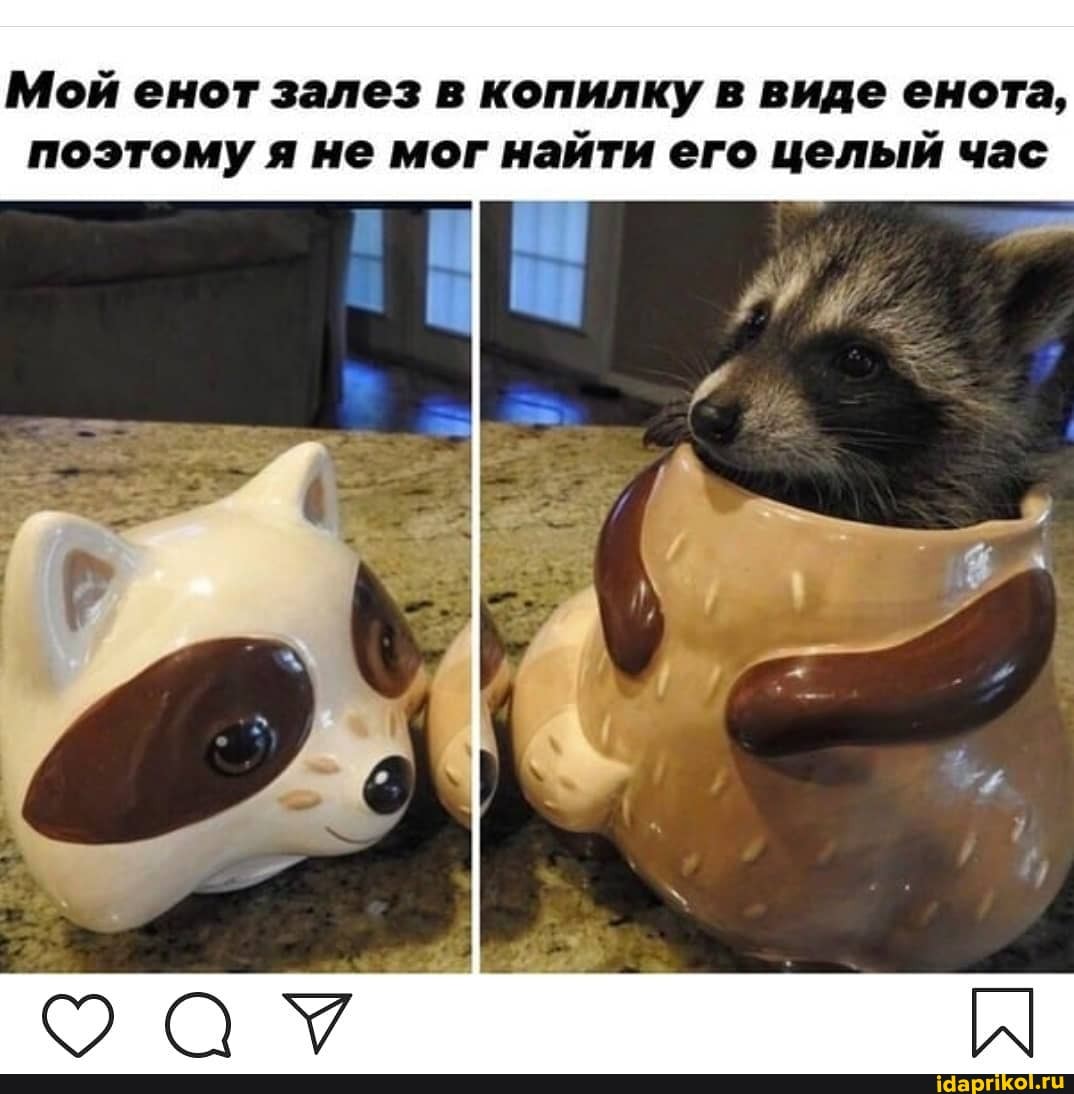 Мой енот залез в копилку в виде енота,
поэтому я не мог найти его целый час