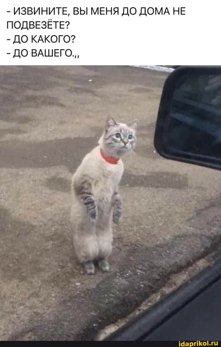 - ИЗВИНИТЕ, ВЫ МЕНЯ ДО ДОМА НЕ ПОДВЕЗЁТЕ?
- ДО КАКОГО?
- ДО ВАШЕГО.