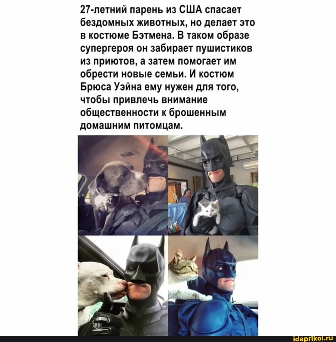 27-петний парень из США спасает бездомных животных, но делает это в костюме Бэтмена. В таком образе супергероя он забирает пушистиков из приютов, а затем помогает им обрести новые семьи. И костюм
Брюса Уэйна ему нужен для того, чтобы привлечь внимание общественности к брошенным домашним питомцам.
