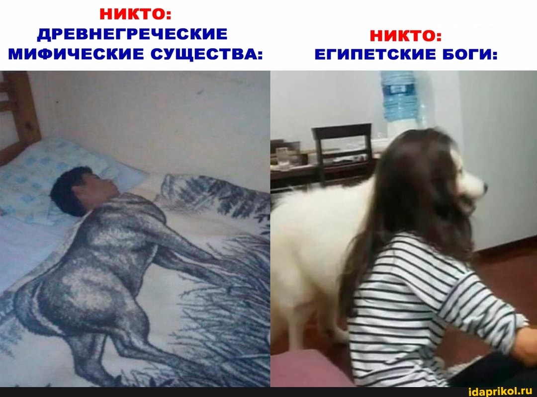 НИКТО:
ДРЕВНЕГРЕЧЕСКИЕ НИКТО:
МИФИЧЕСКИЕ СУЩЕСТВА: ЕГИПЕТСКИЕ БОГИ:
