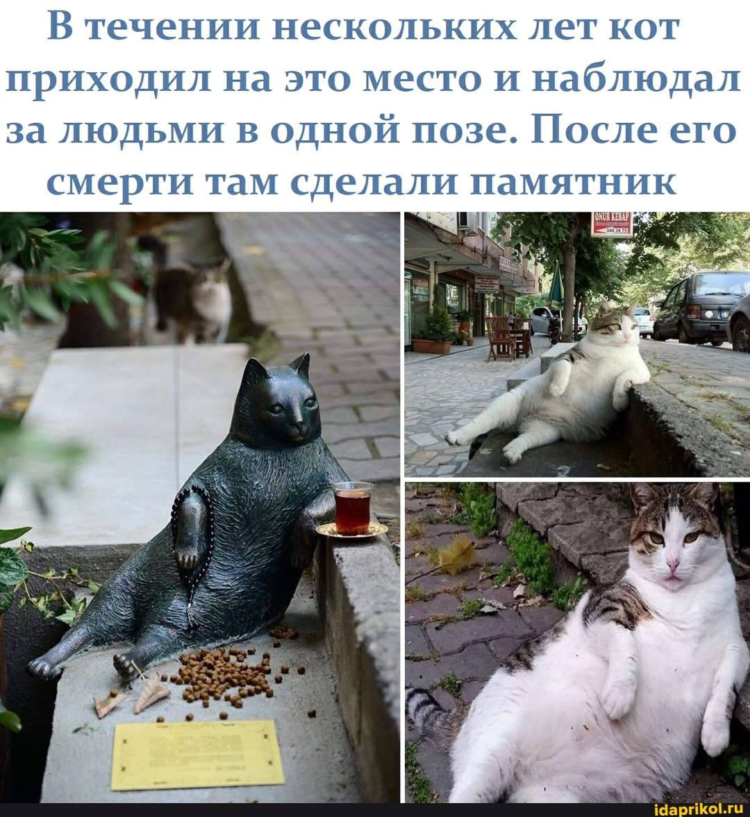 В течении нескольких лет кот приходил на это место и наблюдал
за людьми в одной позе. После его смерти там сделали памятник
