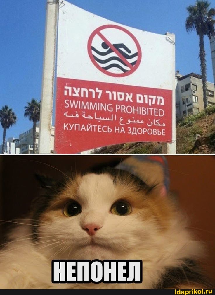 aYMy NDX Din
SWIMMING (ING PROHIBITED
lS.
HA