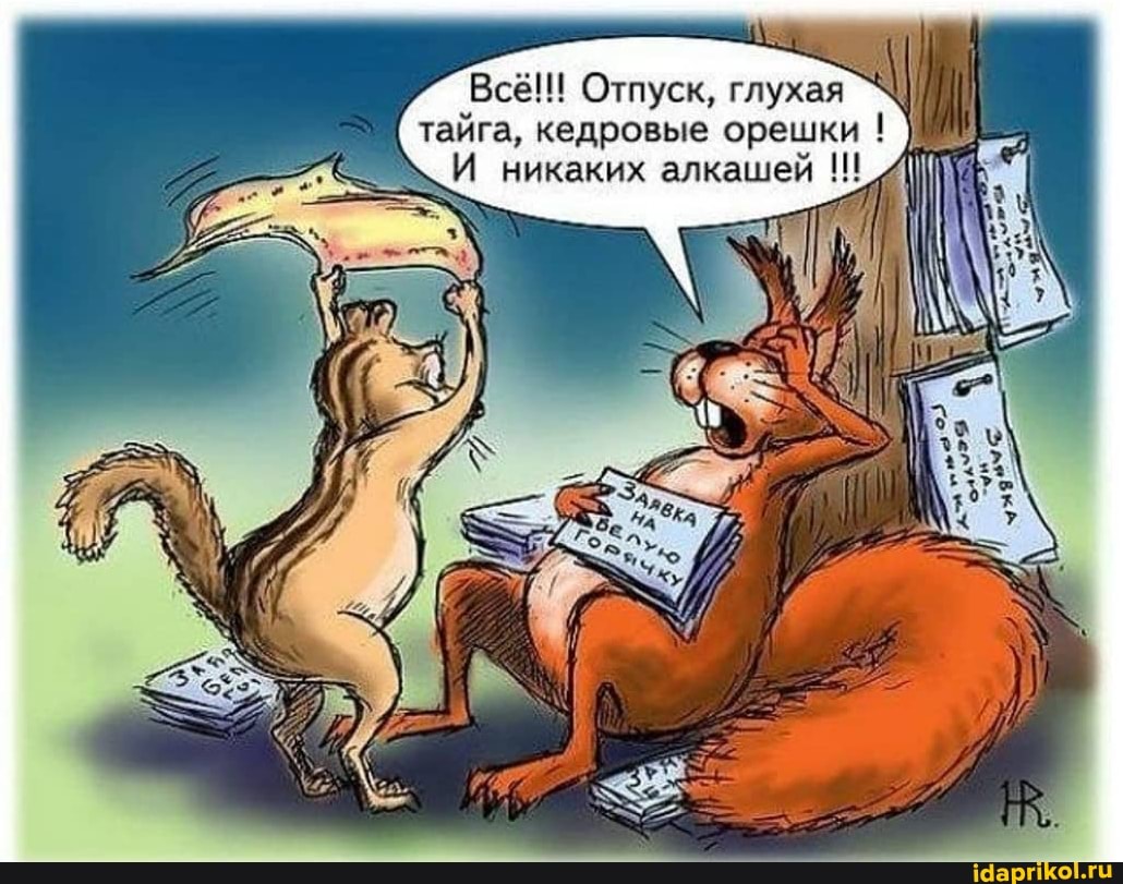 Всё!!! Отпуск, глухая тайга, кедровые орешки ! никаких алкашей !!1