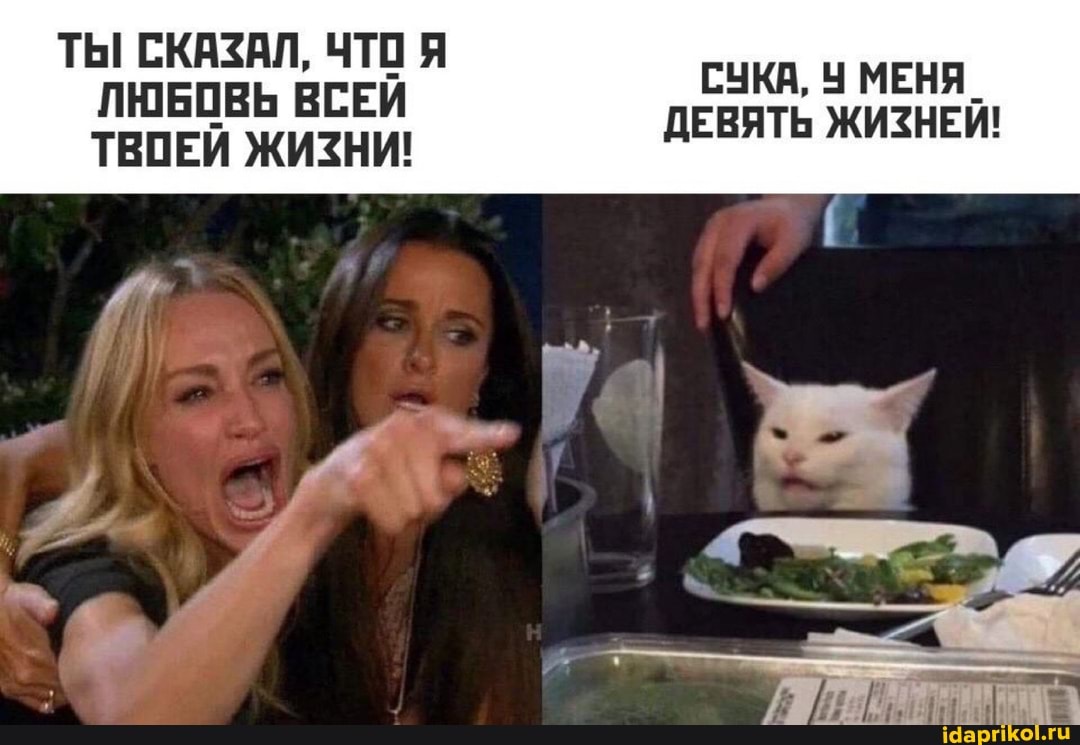 ТЫ СКАЗАЛ, ЧТО Я СУКА, У МЕНЯ
ЛЮБОВЬ ВСЕЙ ТВОЕЙ ЖИЗНИ! ДЕВЯТЬ ЖИЗНЕЙ!