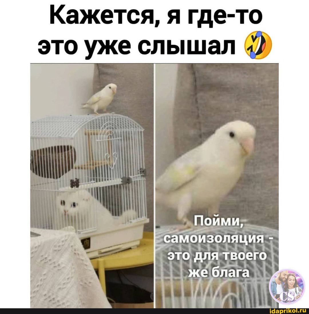 Кажется, я где-то это уже слышал
Пойми;
'самоизоляция: - это для твоего
I же блага