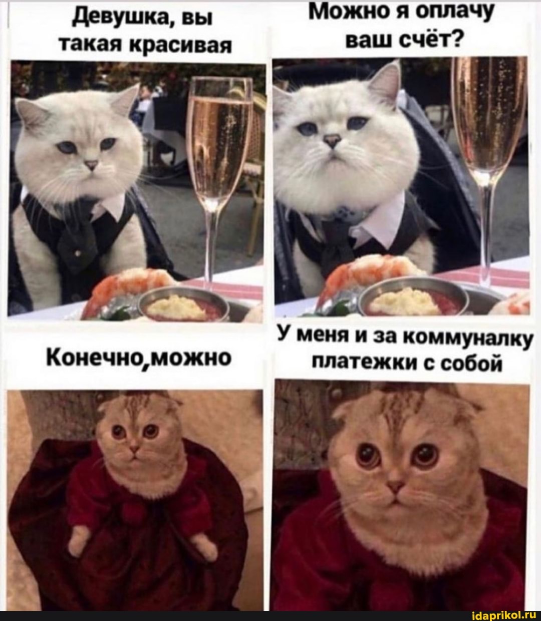 Можно я оплачу
Девушка, вы такая красивая ваш счёт?
У меня и за коммуналку
Конечно, можно платежки с собой